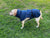Spud Jax Petshop Pet Dog Raincoat Poncho Jacket Windbreaker Waterproof Clothes with Harness Hole-XL-Black (Single Layer) Pet Dog Raincoat Poncho Jacket Windbreaker Waterproof Clothes with Harness Hole-XL-Black (Single Layer) Pet Care > Dog Supplies > Dog Apparel