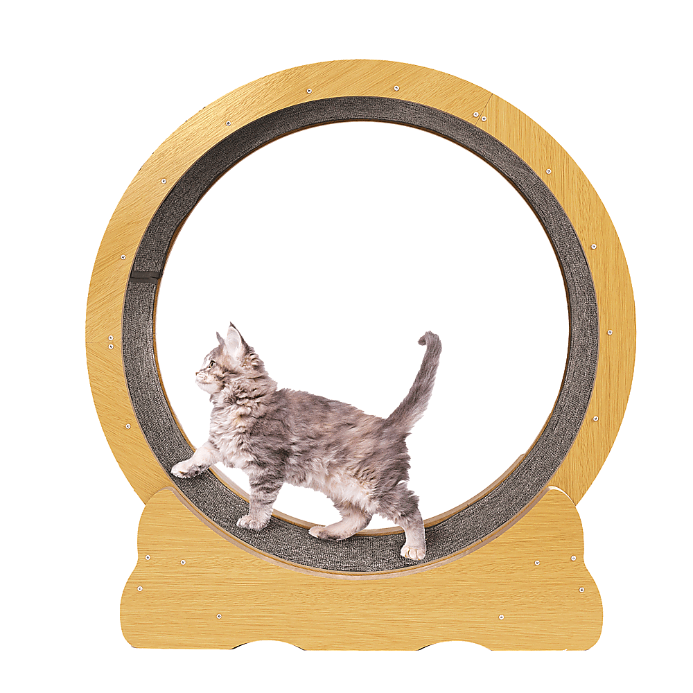 Spud Jax Petshop Cat Running Wheel w/ Carpet Runway Cat Exercise Wheel for Fitness Cat Treadmill Pet Care