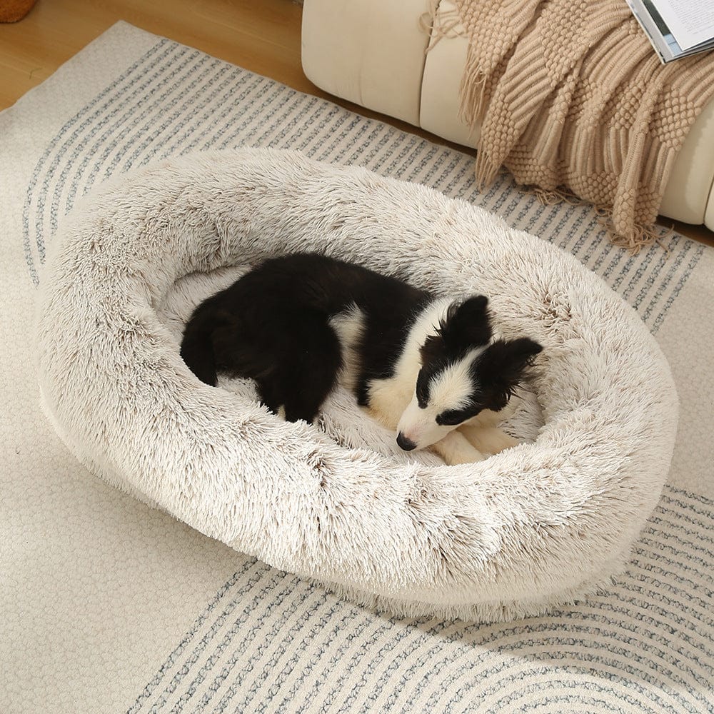 Spud Jax Petshop Fluffy Donut-Shaped Pet Bed- Soft, Cozy, and Anti-Anxiety for Dogs and Cats, Machine Washable  Gradient Coffee  Size:S 60*15*18cm Fluffy Donut-Shaped Pet Bed- Soft, Cozy, and Anti-Anxiety for Dogs and Cats, Machine Washable  Gradient Coffee  Size:S 60*15*18cm Pet Care &gt; Dog Supplies &gt; Dog Beds