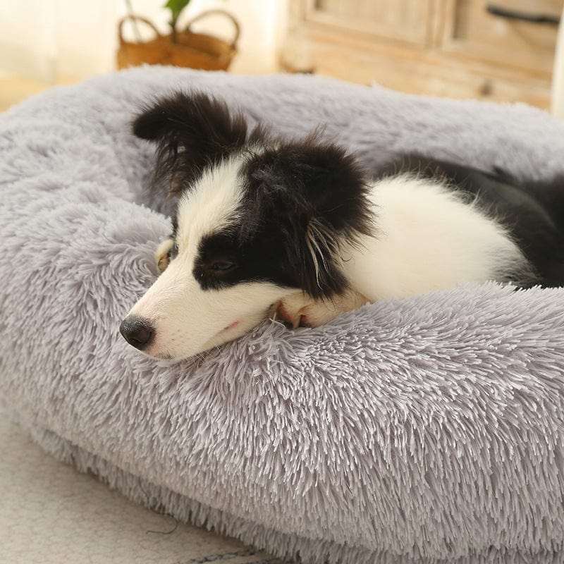 Spud Jax Petshop Fluffy Donut-Shaped Pet Bed- Soft, Cozy, and Anti-Anxiety for Dogs and Cats, Machine Washable  Light Gray  Size:M 75*55*18cm Fluffy Donut-Shaped Pet Bed- Soft, Cozy, and Anti-Anxiety for Dogs and Cats, Machine Washable  Light Gray  Size:M 75*55*18cm Pet Care &gt; Dog Supplies &gt; Dog Beds