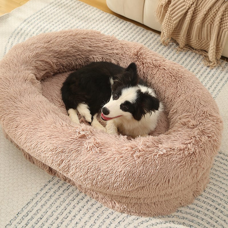 Spud Jax Petshop Fluffy Donut-Shaped Pet Bed- Soft, Cozy, and Anti-Anxiety for Dogs and Cats, Machine Washable  Beige Brown  Size:S 60*15*18cm Fluffy Donut-Shaped Pet Bed- Soft, Cozy, and Anti-Anxiety for Dogs and Cats, Machine Washable  Beige Brown  Size:S 60*15*18cm Pet Care &gt; Dog Supplies &gt; Dog Beds