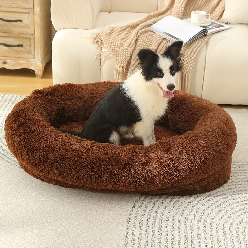 Spud Jax Petshop Fluffy Donut-Shaped Pet Bed- Soft, Cozy, and Anti-Anxiety for Dogs and Cats, Machine Washable  Coffee Size:S 60*15*18cm Fluffy Donut-Shaped Pet Bed- Soft, Cozy, and Anti-Anxiety for Dogs and Cats, Machine Washable  Coffee Size:S 60*15*18cm Pet Care &gt; Dog Supplies &gt; Dog Beds