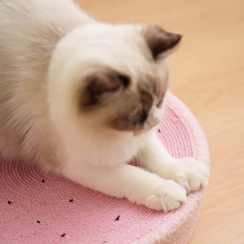 Spud Jax Petshop Strawberry-Shaped Cat Scratcher Bed - Fun Sisal Pad for Cats 40*40*10cm Strawberry-Shaped Cat Scratcher Bed - Fun Sisal Pad for Cats 40*40*10cm Pet Care > Cat Supplies > Cat Scratchers