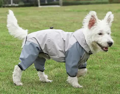 Spud Jax Petshop Waterproof Dog Raincoat with Hidden Leash Hole - Windproof and Comfortable for Outdoor Walks, Size:S (Back Length 20cm/7.87in, Bra 31cm/12.20in) Grey Waterproof Dog Raincoat with Hidden Leash Hole - Windproof and Comfortable for Outdoor Walks, Size:S (Back Length 20cm/7.87in, Bra 31cm/12.20in) Grey Pet Care > Dog Supplies > Dog Apparel