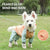 Spud Jax Petshop Waterproof Dog Raincoat with Hidden Leash Hole -Windproof and Comfortable for Outdoor Walks, Size:M (Back Length 25cm/9.84in, Bra 38cm/14.96in) Orange Waterproof Dog Raincoat with Hidden Leash Hole -Windproof and Comfortable for Outdoor Walks, Size:M (Back Length 25cm/9.84in, Bra 38cm/14.96in) Orange Pet Care > Dog Supplies > Dog Apparel