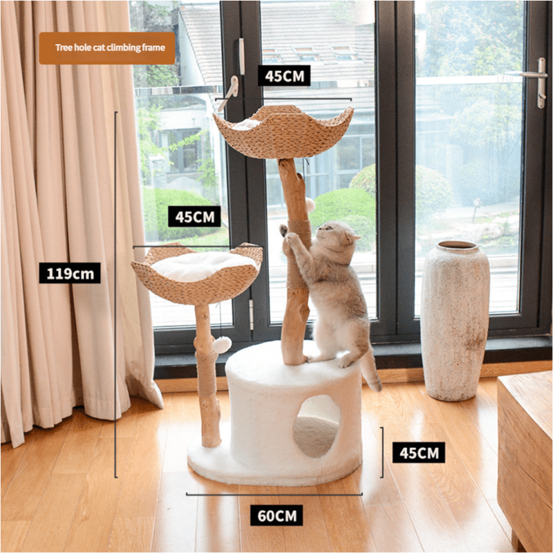 Spud Jax Petshop A Cat's Dream Paradise: Natural Solid Wood Cat Climbing Frame A Cat's Dream Paradise: Natural Solid Wood Cat Climbing Frame Pet Care > Cat Supplies > Cat Furniture