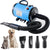 Spud Jax Petshop Pet Hair Dryer with Multiple Nozzles - Powerful and Quiet for Dogs and Cats (Blue) Pet Hair Dryer with Multiple Nozzles - Powerful and Quiet for Dogs and Cats (Blue) Pet Care > Cleaning & Maintenance > Pet Grooming Supplies