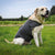 Spud Jax Petshop S Dog Vest Jacket - Warm, Soft, and Comfortable Dog Coat for Winter, Calming and Insulating Dog Apparel S Dog Vest Jacket - Warm, Soft, and Comfortable Dog Coat for Winter, Calming and Insulating Dog Apparel Pet Care > Dog Supplies > Dog Apparel