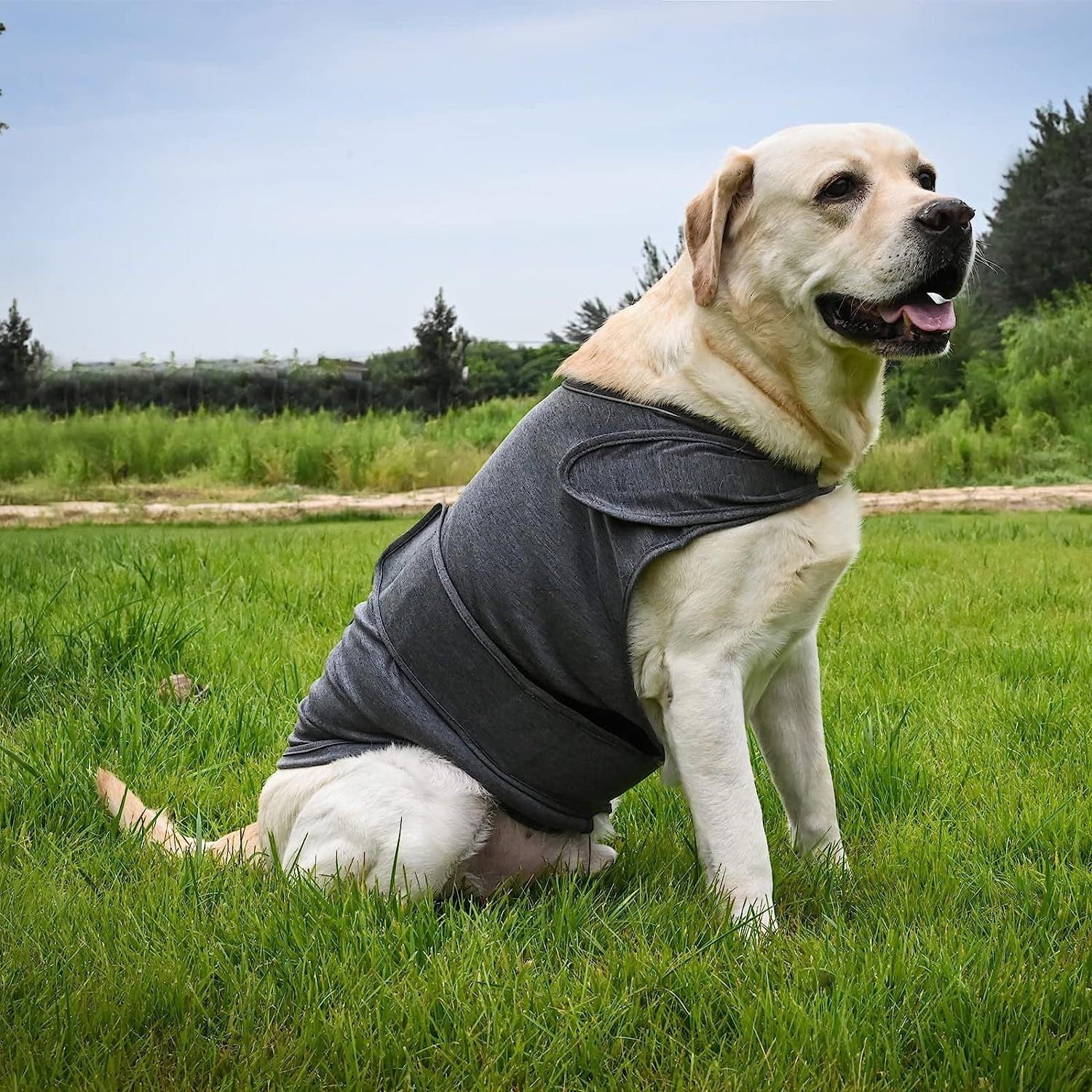 Spud Jax Petshop XL Dog Vest Jacket - Warm, Soft, and Comfortable Dog Coat for Winter, Calming and Insulating Dog Apparel XL Dog Vest Jacket - Warm, Soft, and Comfortable Dog Coat for Winter, Calming and Insulating Dog Apparel Pet Care > Dog Supplies > Dog Apparel