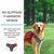Spud Jax Petshop Khaki Dog Tactical Backpack Harness - Adjustable Outdoor Camouflage Saddle Bag for Dogs Khaki Dog Tactical Backpack Harness - Adjustable Outdoor Camouflage Saddle Bag for Dogs Pet Care > Dog Supplies > Dog Apparel