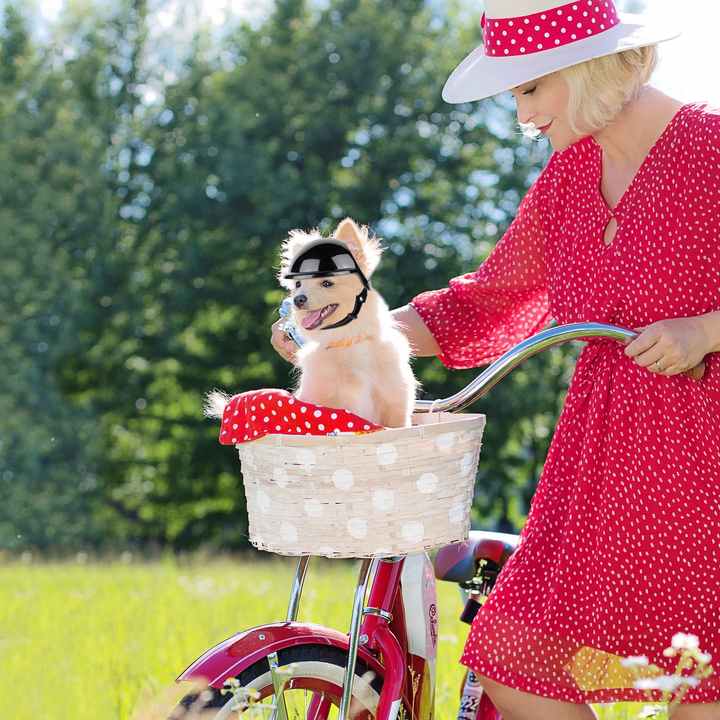 Spud Jax Petshop Size L Black Pet Safety Helmet - Stylish Protective Headgear for Dogs Size L Black Pet Safety Helmet - Stylish Protective Headgear for Dogs Pet Care > Dog Supplies > Dog Training Aids
