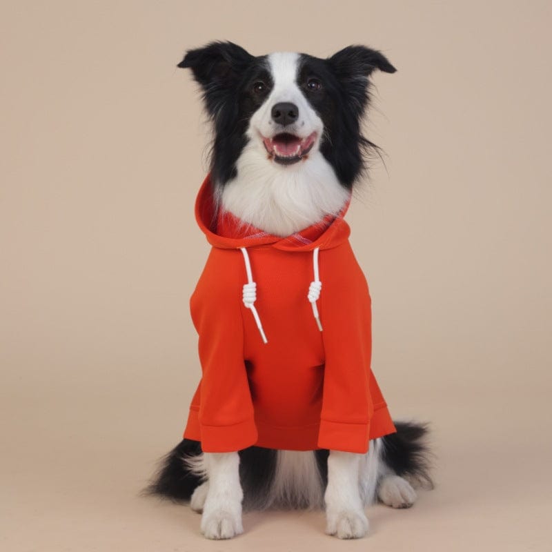 Spud Jax Petshop XL Orange Cute Dog Hoodie with Adjustable Drawstring - Available in Various Sizes XL Orange Cute Dog Hoodie with Adjustable Drawstring - Available in Various Sizes Pet Care > Dog Supplies > Dog Apparel
