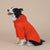 Spud Jax Petshop 6XL Orange Cute Dog Hoodie with Adjustable Drawstring - Available in Various Sizes 6XL Orange Cute Dog Hoodie with Adjustable Drawstring - Available in Various Sizes Pet Care > Dog Supplies > Dog Apparel