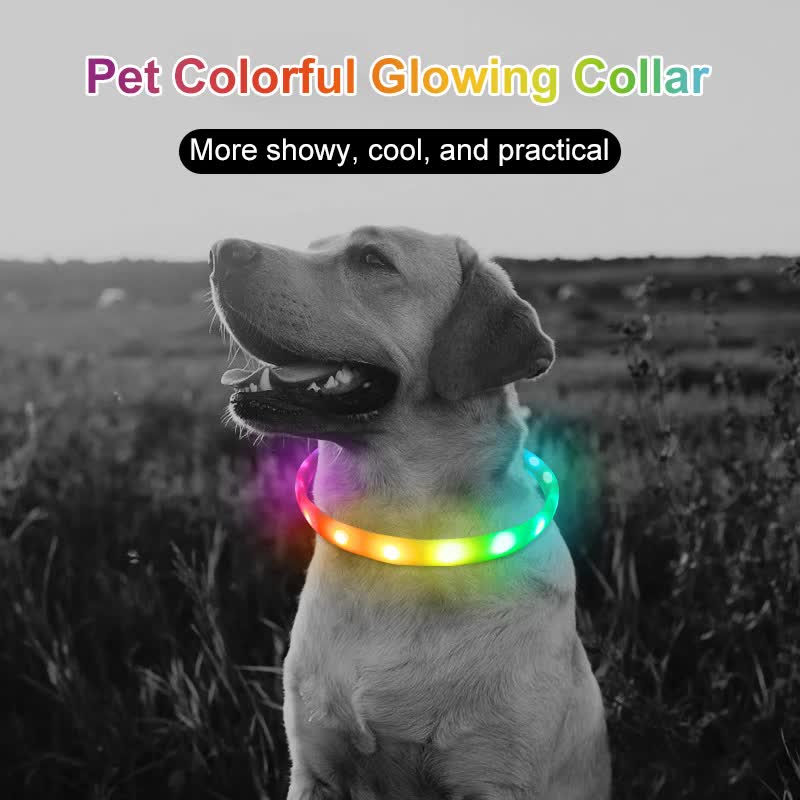 Spud Jax Petshop Colorful Rechargeable LED Pet Collar - Adjustable, Glow-in-Dark Safety for Dogs & Cats Colorful Rechargeable LED Pet Collar - Adjustable, Glow-in-Dark Safety for Dogs & Cats Pet Care > Cleaning & Maintenance > Pet Medical Collars