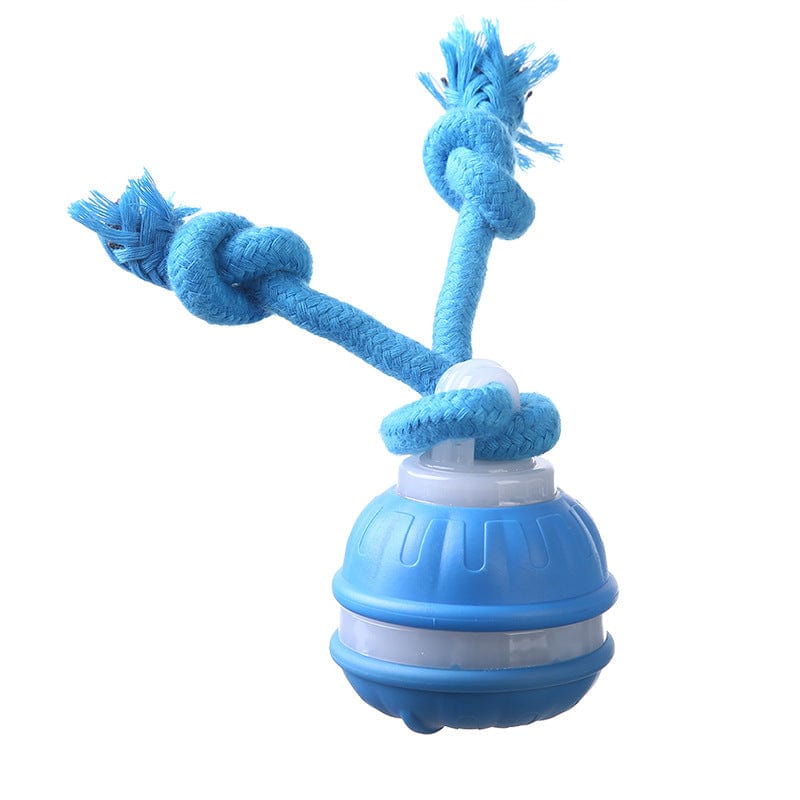 Spud Jax Petshop Blue 2-pcs Interactive Dog Toy - Self-Moving Ball with Rope, Boredom Buster Blue 2-pcs Interactive Dog Toy - Self-Moving Ball with Rope, Boredom Buster Pet Care > Toys > Dog Toys