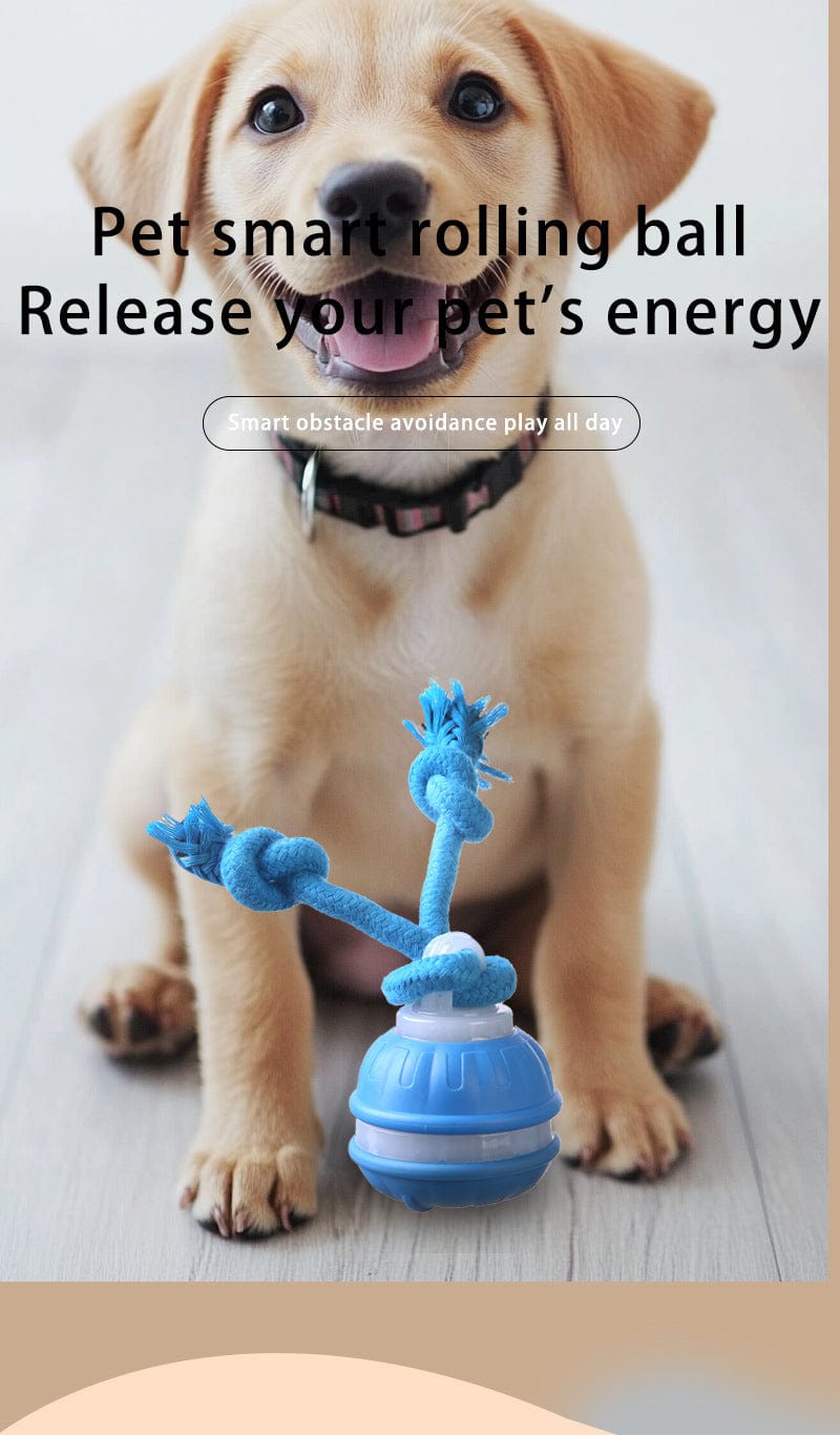 Spud Jax Petshop Blue 2-pcs Interactive Dog Toy - Self-Moving Ball with Rope, Boredom Buster Blue 2-pcs Interactive Dog Toy - Self-Moving Ball with Rope, Boredom Buster Pet Care > Toys > Dog Toys