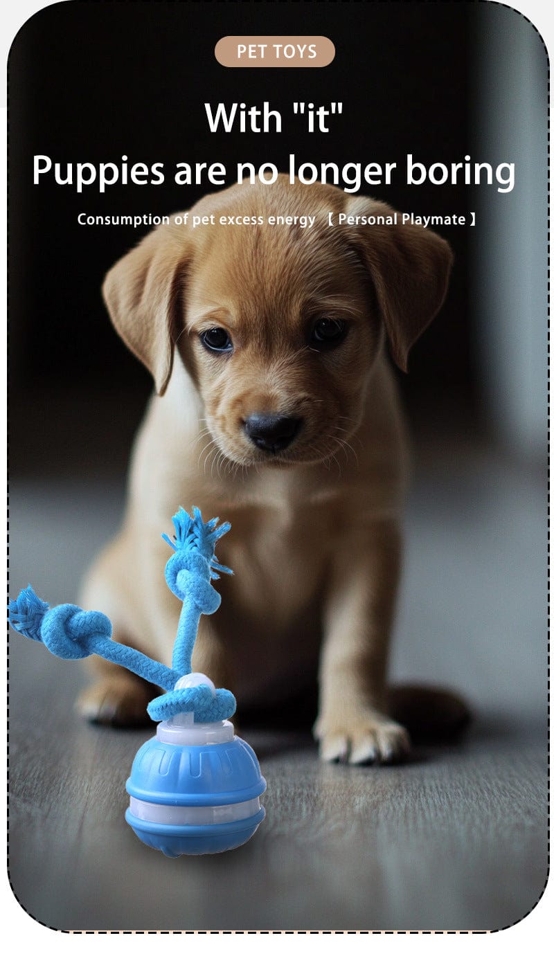 Spud Jax Petshop Blue 2-pcs Interactive Dog Toy - Self-Moving Ball with Rope, Boredom Buster Blue 2-pcs Interactive Dog Toy - Self-Moving Ball with Rope, Boredom Buster Pet Care > Toys > Dog Toys