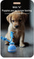 Spud Jax Petshop Blue 2-pcs Interactive Dog Toy - Self-Moving Ball with Rope, Boredom Buster Blue 2-pcs Interactive Dog Toy - Self-Moving Ball with Rope, Boredom Buster Pet Care > Toys > Dog Toys