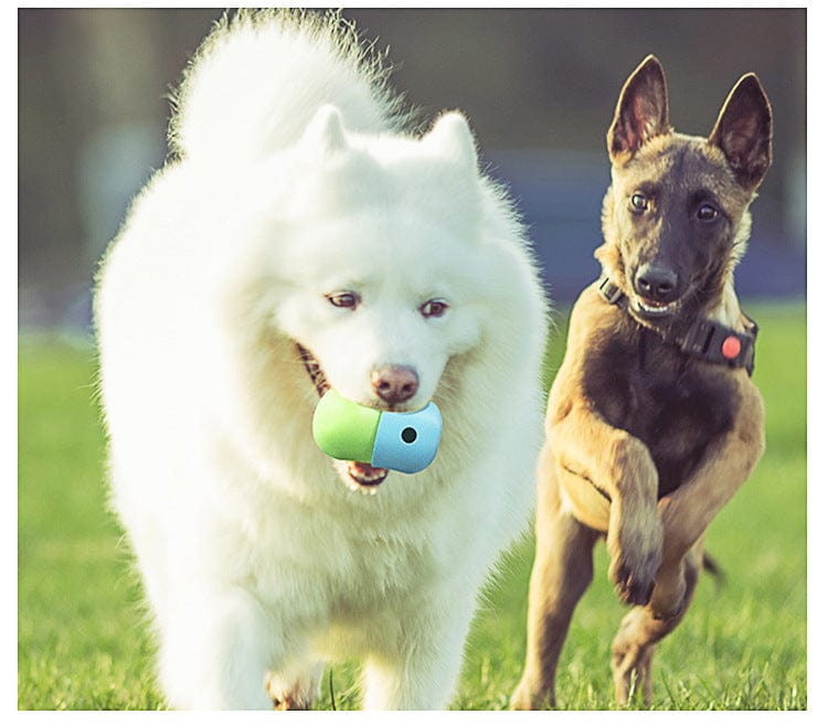 Spud Jax Petshop 2 Pcs White And Green Interactive Pet Treat Dispensing Ball - Food-Grade Silicone Rolling Toy for Dogs with 1.5 cm Leakage Hole 2 Pcs White And Green Interactive Pet Treat Dispensing Ball - Food-Grade Silicone Rolling Toy for Dogs with 1.5 cm Leakage Hole Pet Care > Toys > Dog Toys