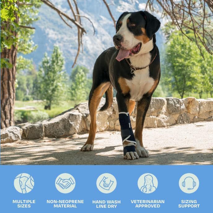 3 Pcs Size M Dark Blue Supportive Dog Leg Brace - Adjustable Carpal/Tarsal Splint for Injury & Arthritis Relief