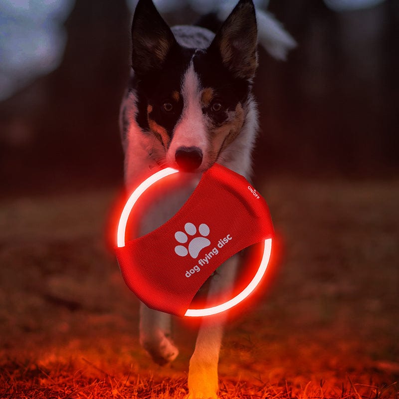 Spud Jax Petshop Green LED Rechargeable Dog Flying Disc - Glow-in-the-Dark Pet Training Toy with Paw Design Green LED Rechargeable Dog Flying Disc - Glow-in-the-Dark Pet Training Toy with Paw Design Pet Care > Dog Supplies > Dog Training Aids