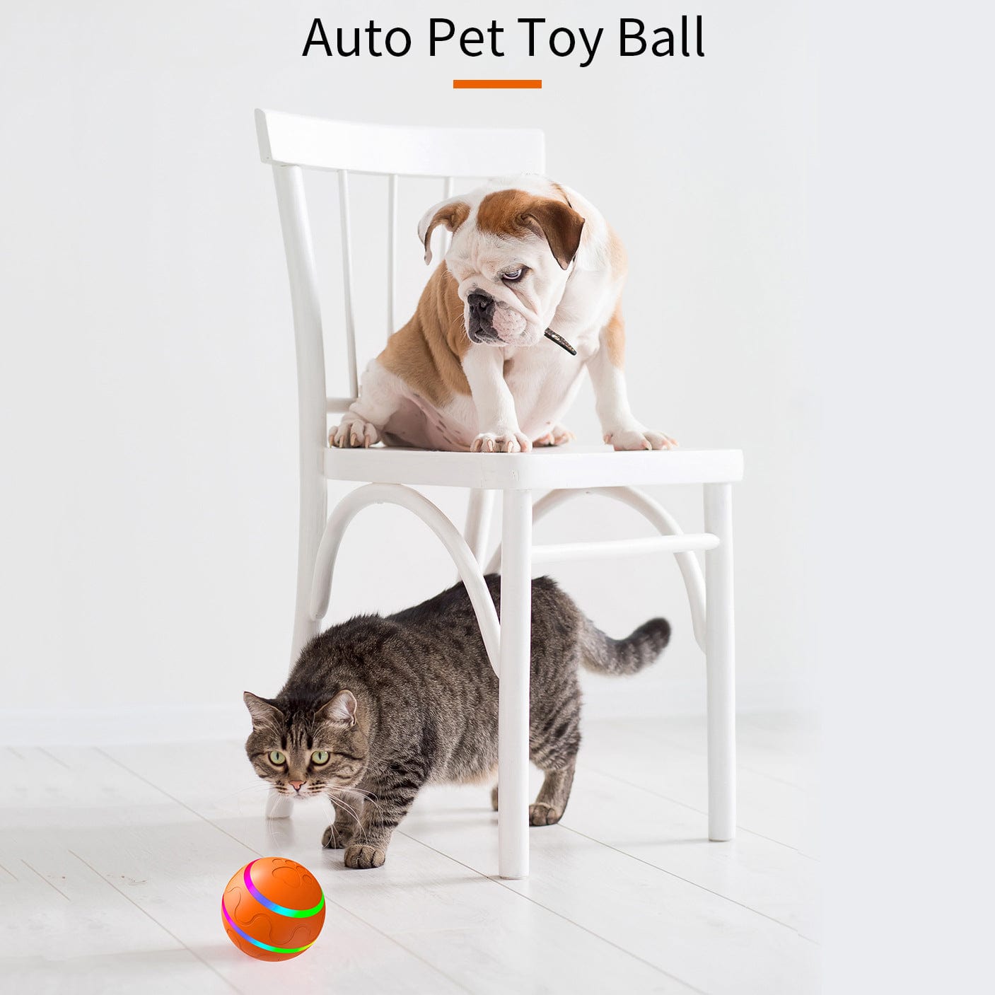 Spud Jax Petshop Interactive Auto Pet Toy Ball with Remote Control - USB Rechargeable, LED Lights, Sturdy & Waterproof(yellow) Interactive Auto Pet Toy Ball with Remote Control - USB Rechargeable, LED Lights, Sturdy & Waterproof(yellow) Pet Care > Dog Supplies > Dog Training Aids