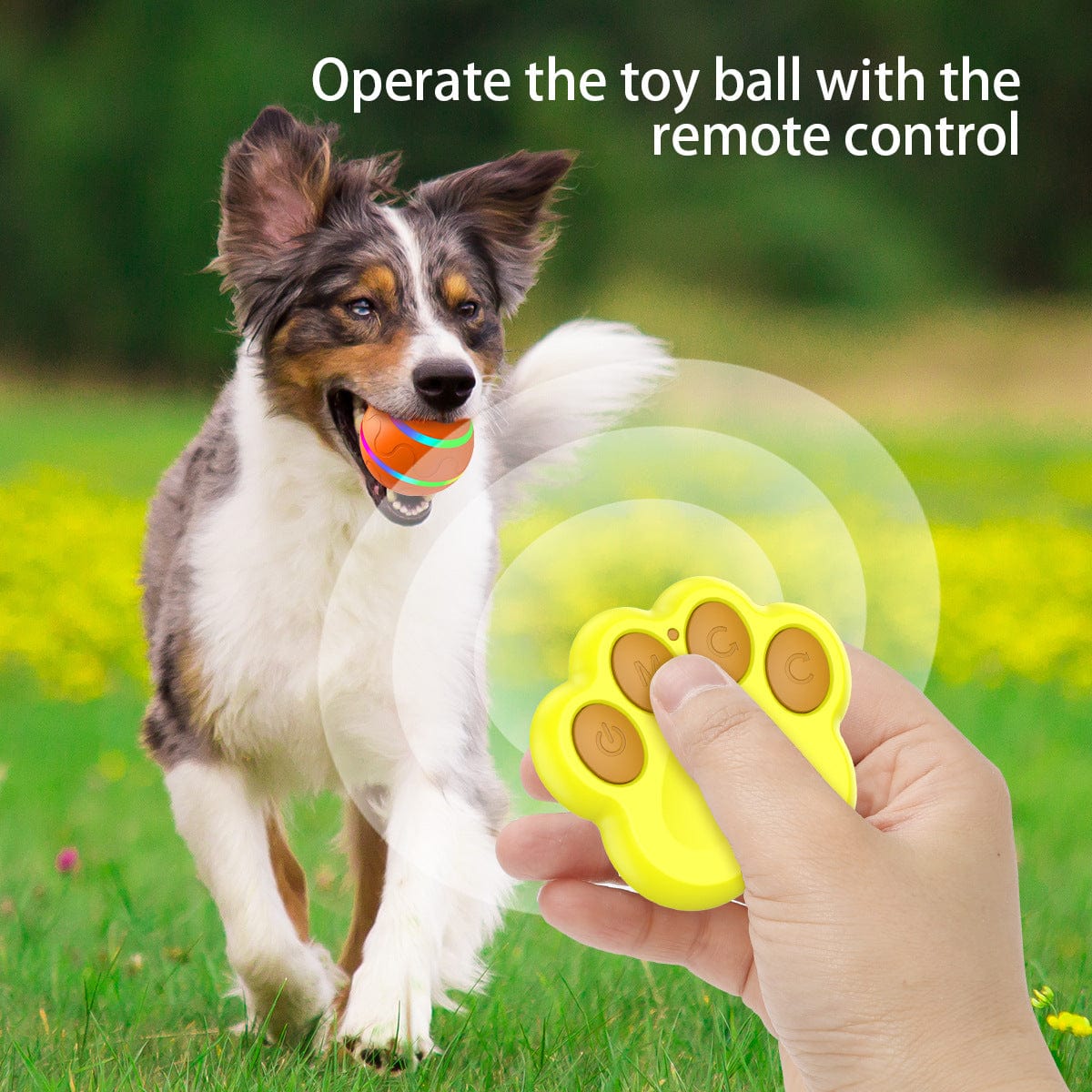 Spud Jax Petshop Interactive Auto Pet Toy Ball with Remote Control - USB Rechargeable, LED Lights, Sturdy & Waterproof(yellow) Interactive Auto Pet Toy Ball with Remote Control - USB Rechargeable, LED Lights, Sturdy & Waterproof(yellow) Pet Care > Dog Supplies > Dog Training Aids