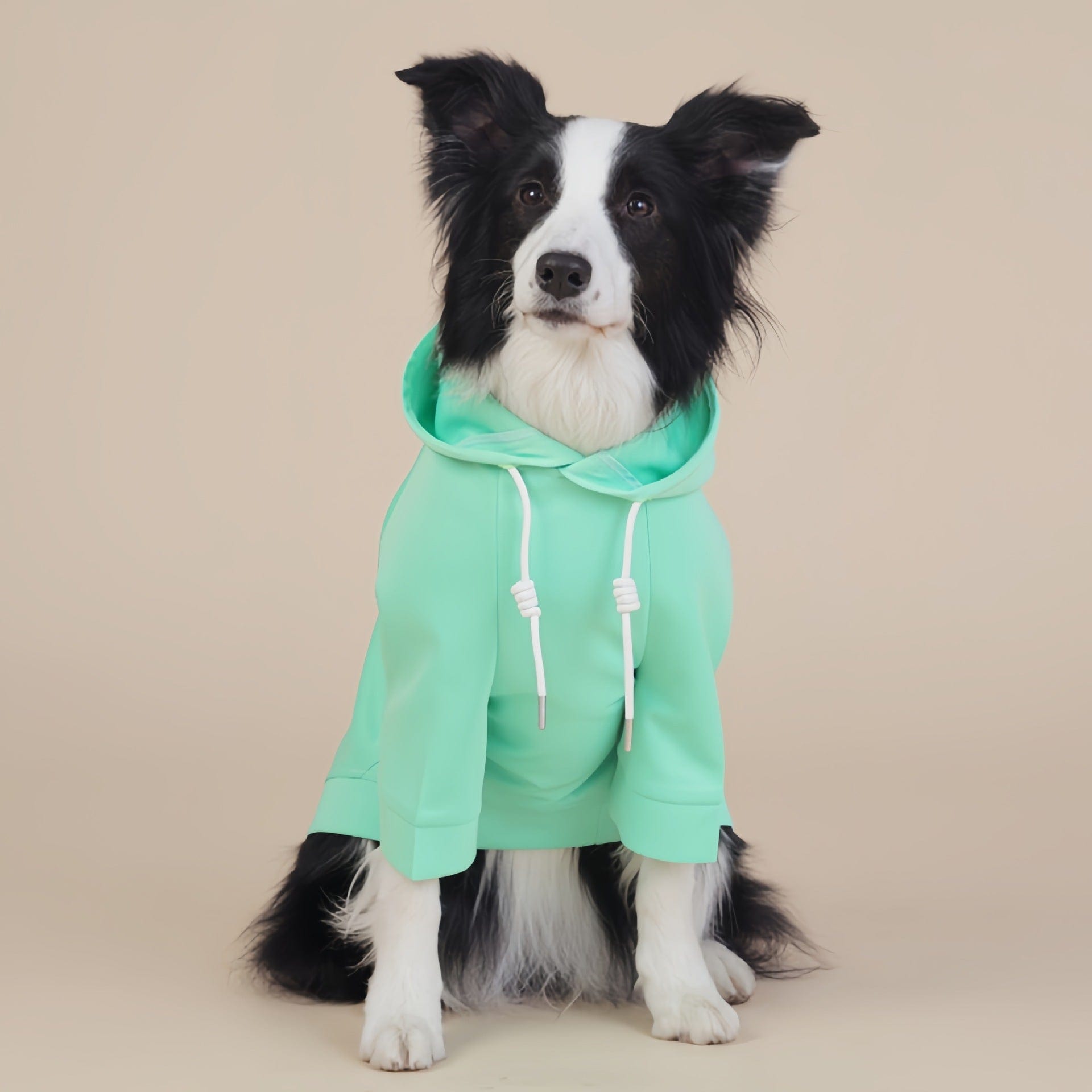 Spud Jax Petshop Green Classic Dog Sweatshirt with Hood & Drawstrings - For Large Dogs (Size : 3XL) Green Classic Dog Sweatshirt with Hood & Drawstrings - For Large Dogs (Size : 3XL) Pet Care > Dog Supplies > Dog Apparel