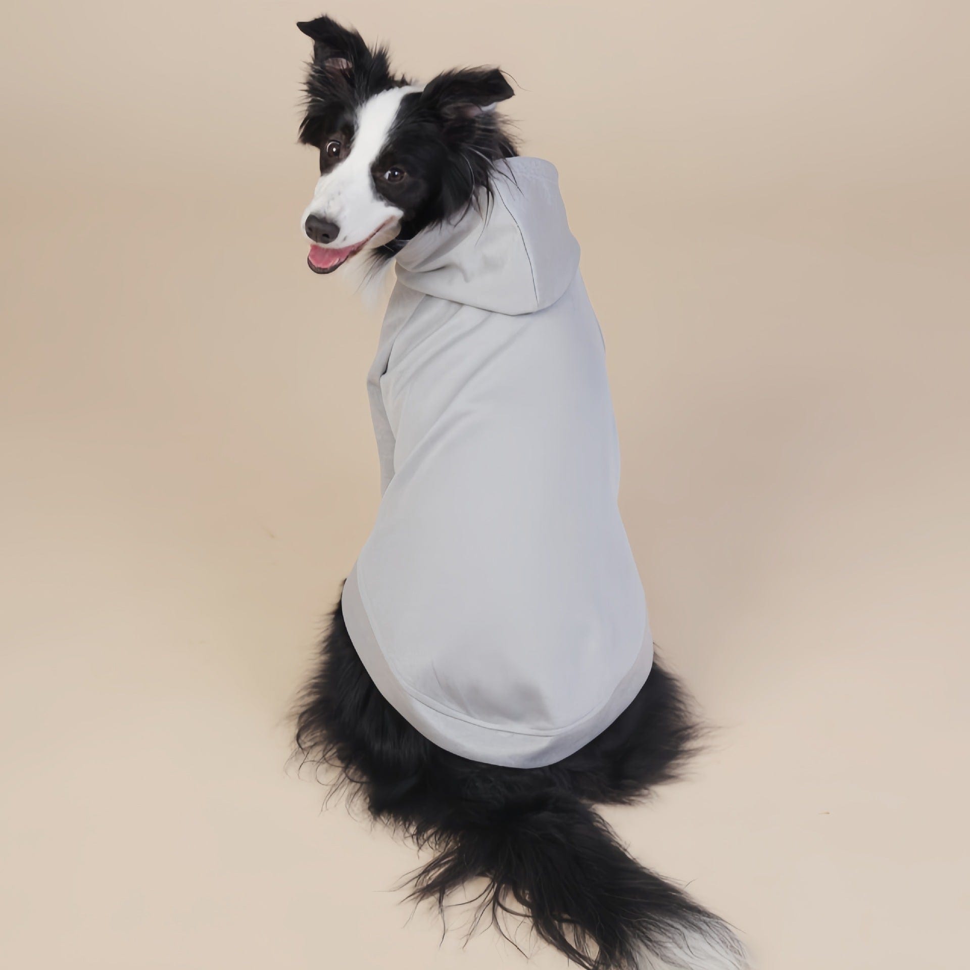 Spud Jax Petshop Grey Classic Dog Sweatshirt with Hood & Drawstrings - For Large Dogs (Size : 2XL) Grey Classic Dog Sweatshirt with Hood & Drawstrings - For Large Dogs (Size : 2XL) Pet Care > Dog Supplies > Dog Apparel