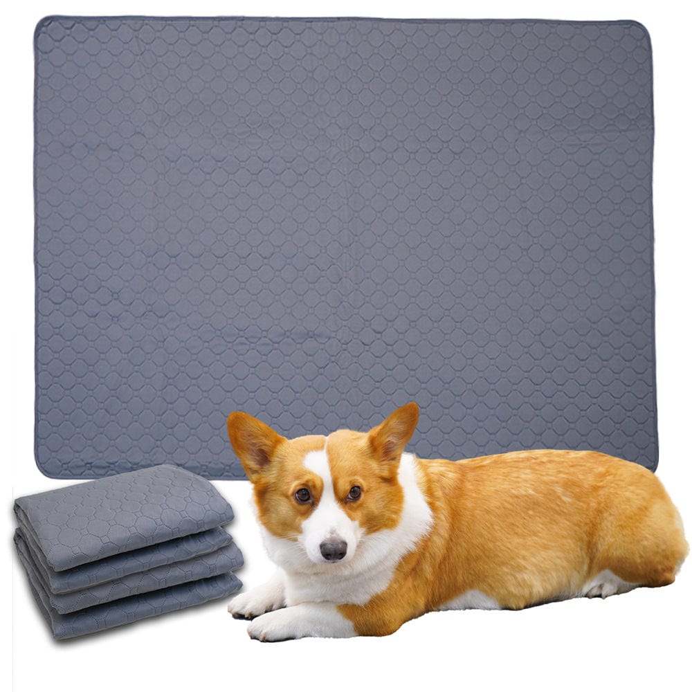 Spud Jax Petshop Reusable Pet Training Pads - 4-Layer Waterproof & Absorbent Mat Waterproof Non-Slip(Size : M-70cm×50cm) Reusable Pet Training Pads - 4-Layer Waterproof & Absorbent Mat Waterproof Non-Slip(Size : M-70cm×50cm) Pet Care > Dog Supplies > Dog Training Aids