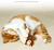 Spud Jax Petshop Crab Electric Flapping Plush Cat Toy with Sound - Realistic Self-Play Pet Toy Crab Electric Flapping Plush Cat Toy with Sound - Realistic Self-Play Pet Toy Pet Care > Toys > Cat Toys
