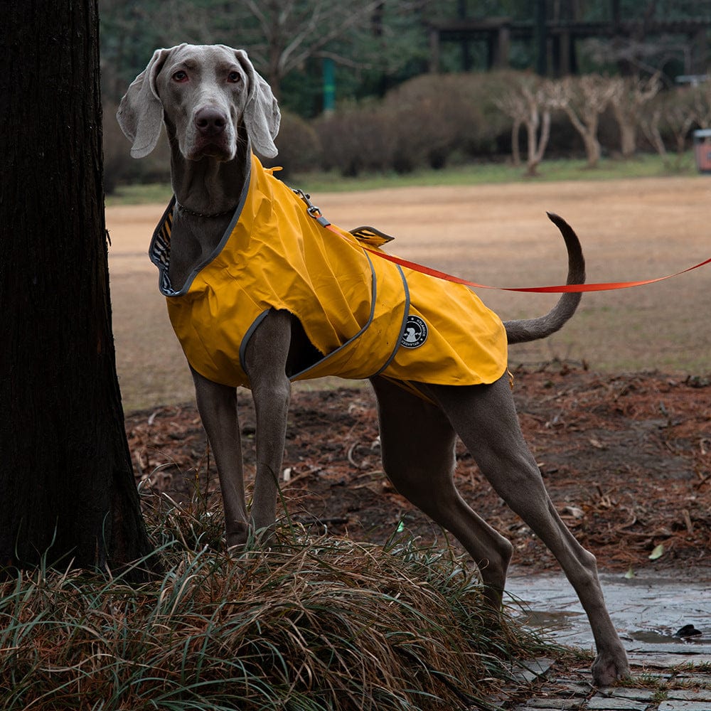 Spud Jax Petshop 40# Yellow Waterproof Reflective Dog Raincoat for Small to Large Dogs 40# Yellow Waterproof Reflective Dog Raincoat for Small to Large Dogs Pet Care > Dog Supplies > Dog Apparel