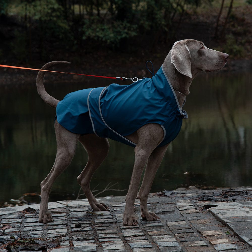 Spud Jax Petshop 40# Blue Waterproof Reflective Dog Raincoat for Small to Large Dogs 40# Blue Waterproof Reflective Dog Raincoat for Small to Large Dogs Pet Care > Dog Supplies > Dog Apparel