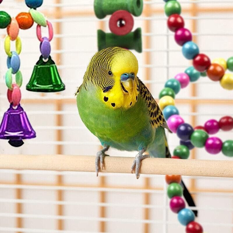 Spud Jax Petshop 10pcs Parrot Toys Set 10pcs Parrot Toys Set Pet Care > Bird > Bird Cage Accessories