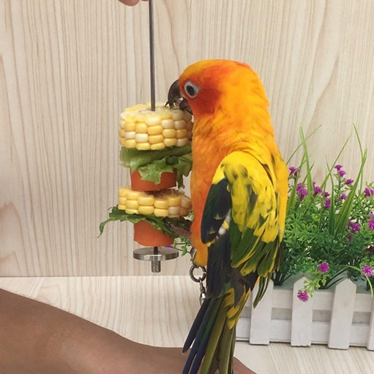 Spud Jax Petshop 2 pieces - Bird Feeder 2 pieces - Bird Feeder Pet Care > Bird > Bird Cage Accessories