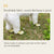 Spud Jax Petshop 28pc X Dog Shoes Waterproof Disposable Boots Anti-Slip Pet Socks S VIOLET Pet Care > Dog Supplies
