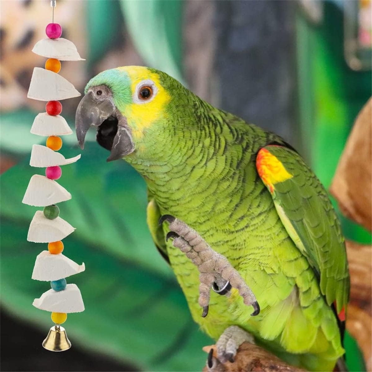 Spud Jax Petshop 2Pcs Bird Cuttlebone Chew Toy 2Pcs Bird Cuttlebone Chew Toy Pet Care > Toys > Dog Toys