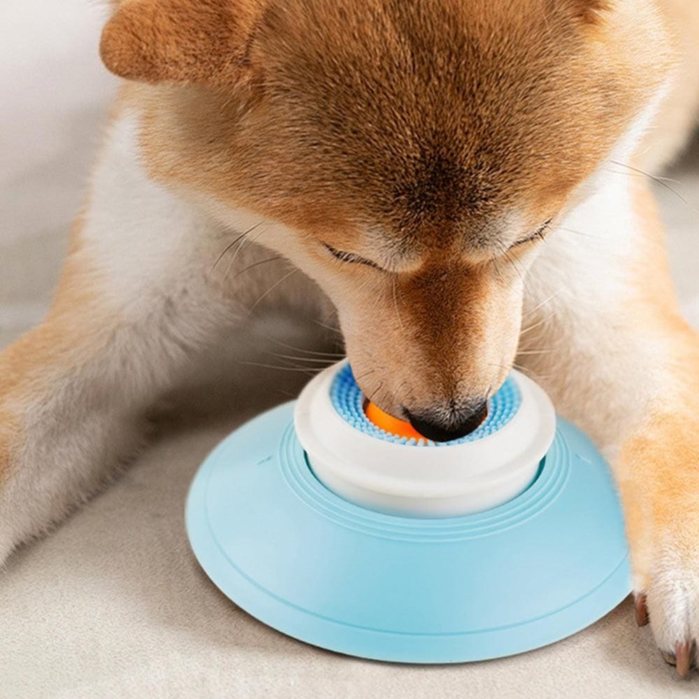 Spud Jax Petshop 2PCS Non-Slip Slow Feeder Bowl for Dogs & Cats 2PCS Non-Slip Slow Feeder Bowl for Dogs & Cats Pet Care > Dog Supplies > Dog Bowls, Feeders & Waterers