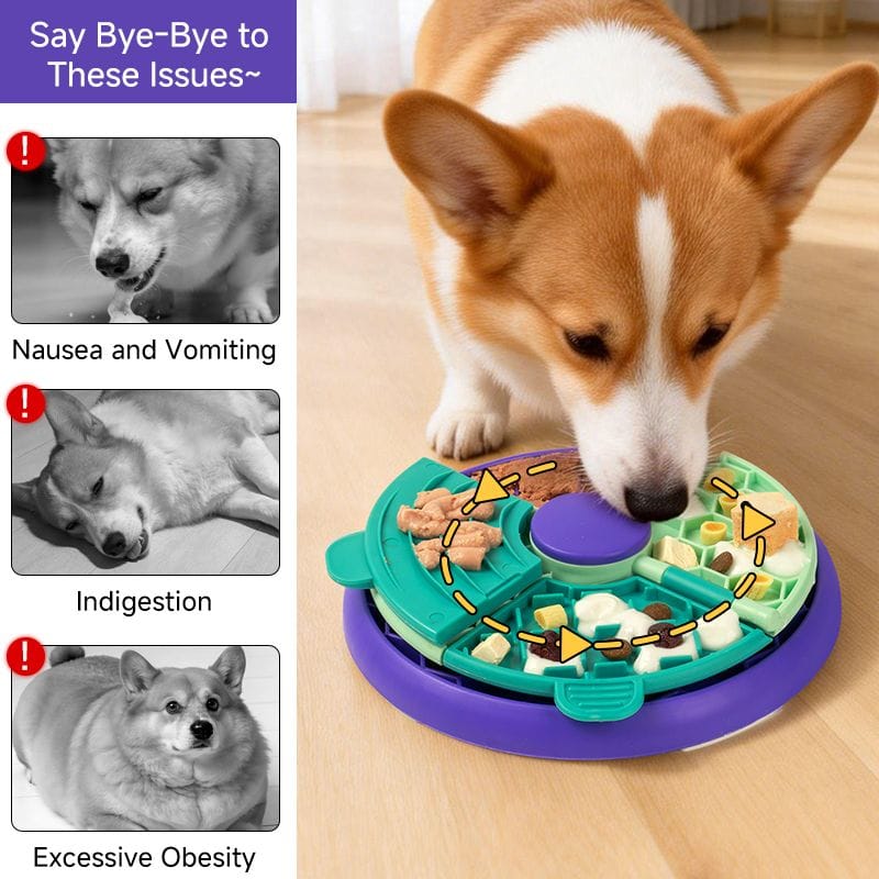 Spud Jax Petshop 3-in-1 Pet Puzzle Slow Feeder Bowl with Multi-Level Rotating Disk - Purple-green 3-in-1 Pet Puzzle Slow Feeder Bowl with Multi-Level Rotating Disk - Purple-green Pet Care > Dog Supplies > Dog Bowls, Feeders & Waterers