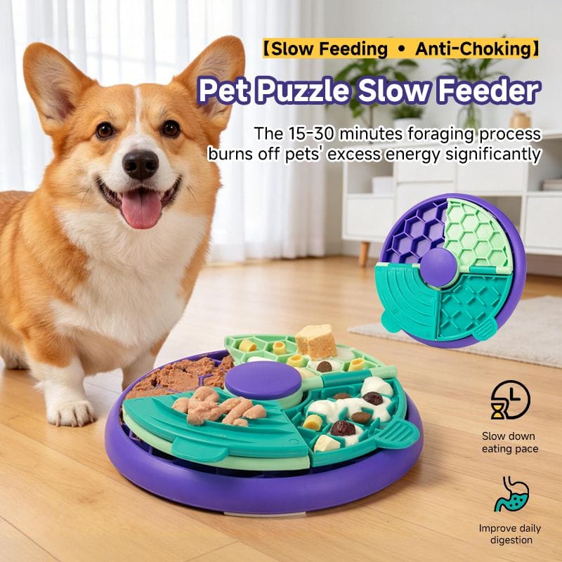 Spud Jax Petshop 3-in-1 Pet Puzzle Slow Feeder Bowl with Multi-Level Rotating Disk - Purple-green 3-in-1 Pet Puzzle Slow Feeder Bowl with Multi-Level Rotating Disk - Purple-green Pet Care > Dog Supplies > Dog Bowls, Feeders & Waterers