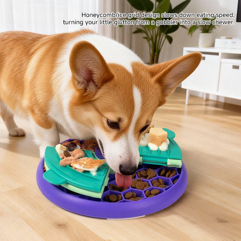 Spud Jax Petshop 3-in-1 Pet Puzzle Slow Feeder Bowl with Multi-Level Rotating Disk - Purple-green 3-in-1 Pet Puzzle Slow Feeder Bowl with Multi-Level Rotating Disk - Purple-green Pet Care > Dog Supplies > Dog Bowls, Feeders & Waterers