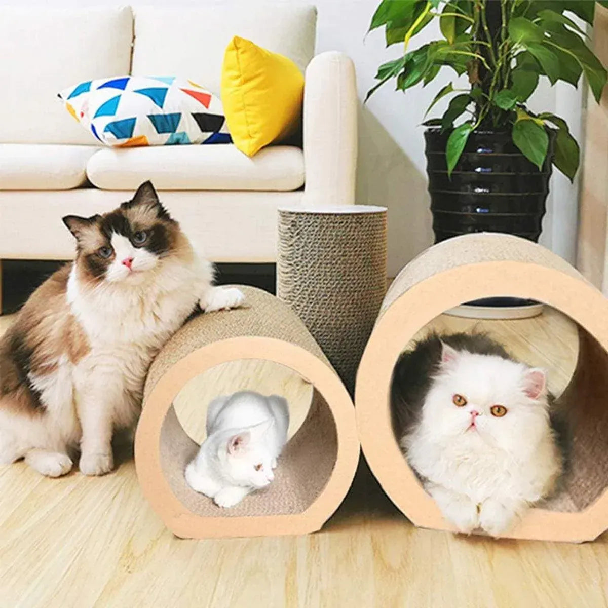 Spud Jax Petshop 3pcs Cat Scratching Tunnel Wearable Claw Sharpening Toys for Cats Pet Play 3pcs Cat Scratching Tunnel Wearable Claw Sharpening Toys for Cats Pet Play Pet Care > Cat Supplies > Cat Scratchers