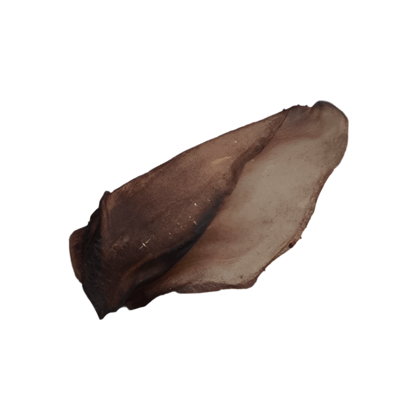 Spud Jax Petshop COW EARS dog treats