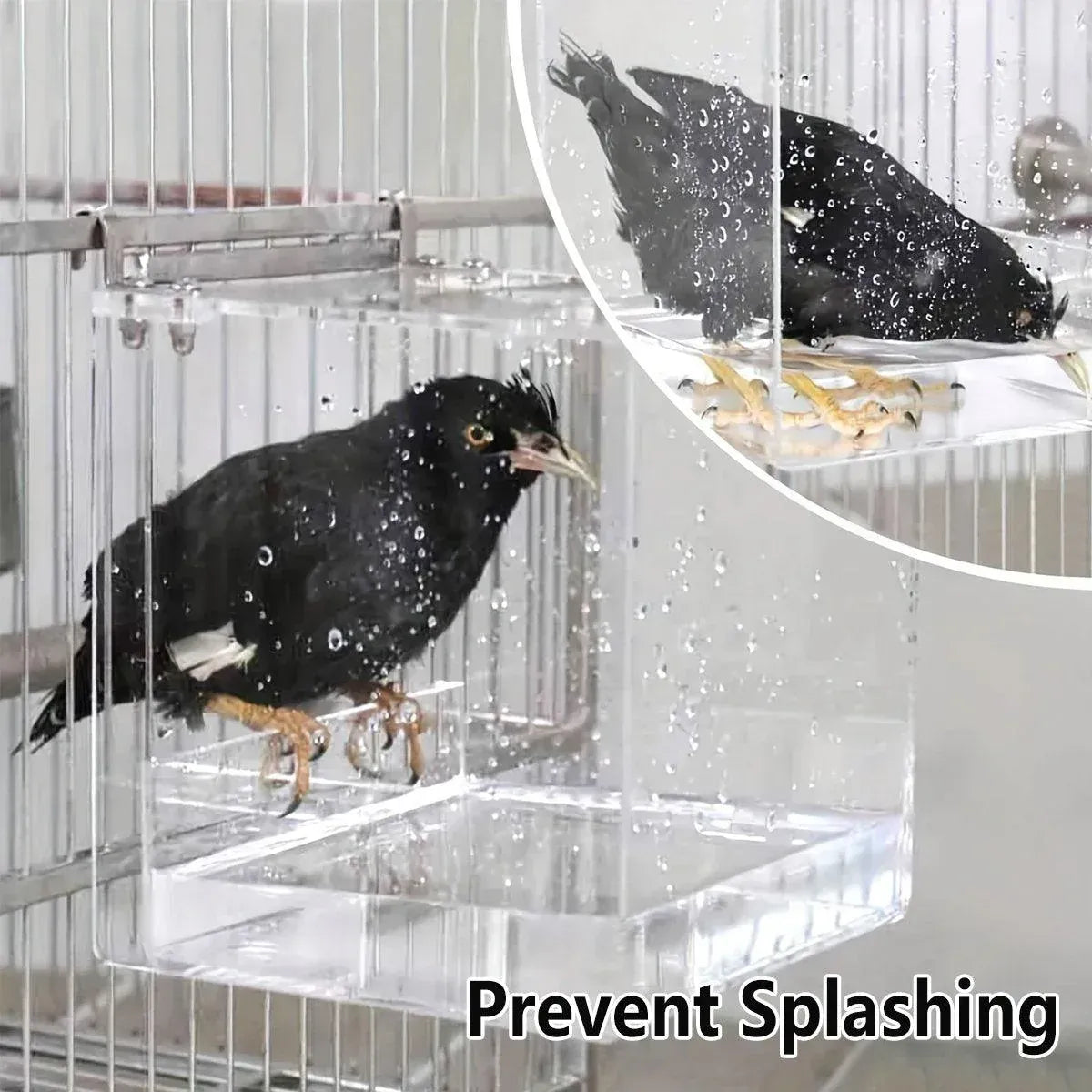 Spud Jax Petshop Bird Bath Box Bird Bath Box Pet Care > Bird > Bird Cage Accessories