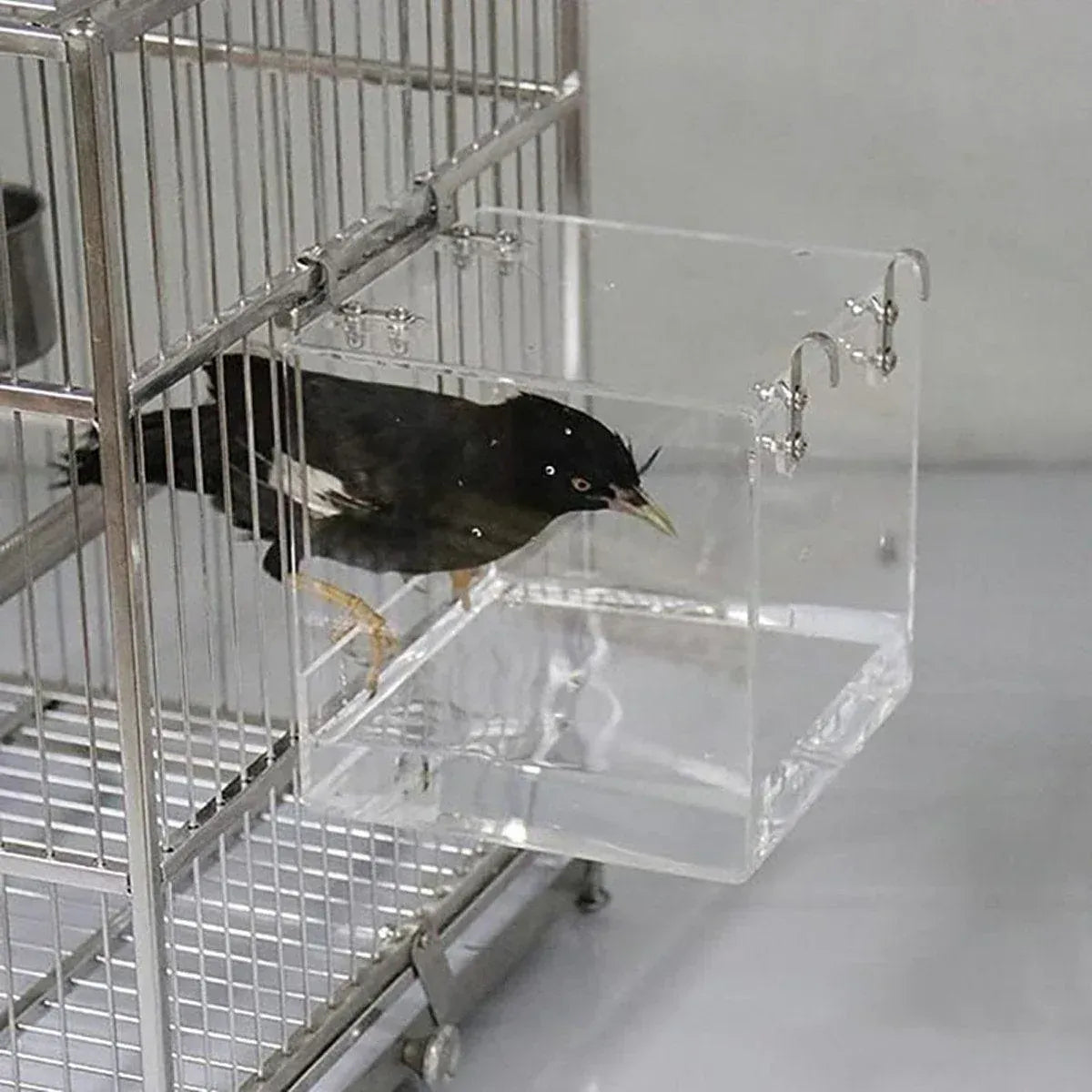 Spud Jax Petshop Bird Bath Box Bird Bath Box Pet Care > Bird > Bird Cage Accessories