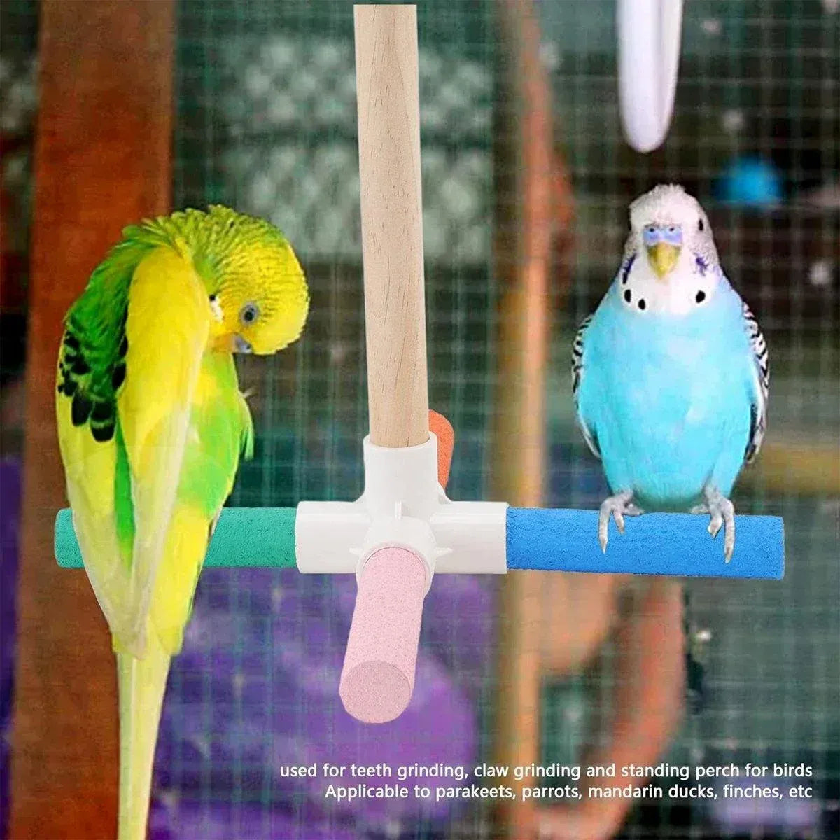 Spud Jax Petshop Bird Grinding Pearch Bird Grinding Pearch Pet Care > Bird > Bird Cage Accessories