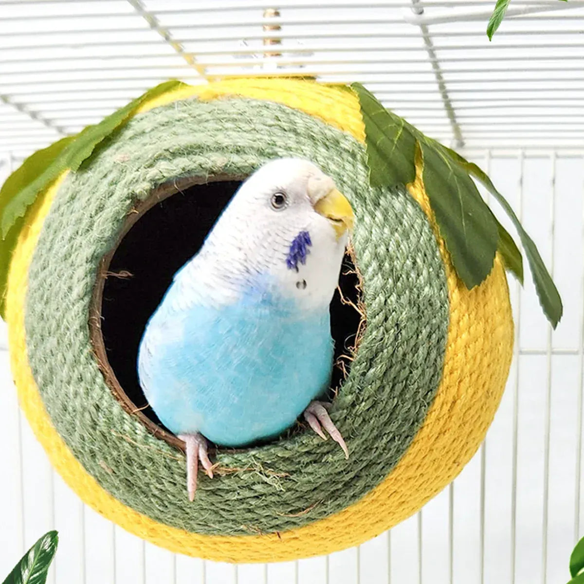 Spud Jax Petshop Bird Nest Bird Nest Pet Care > Bird > Bird Cage Accessories