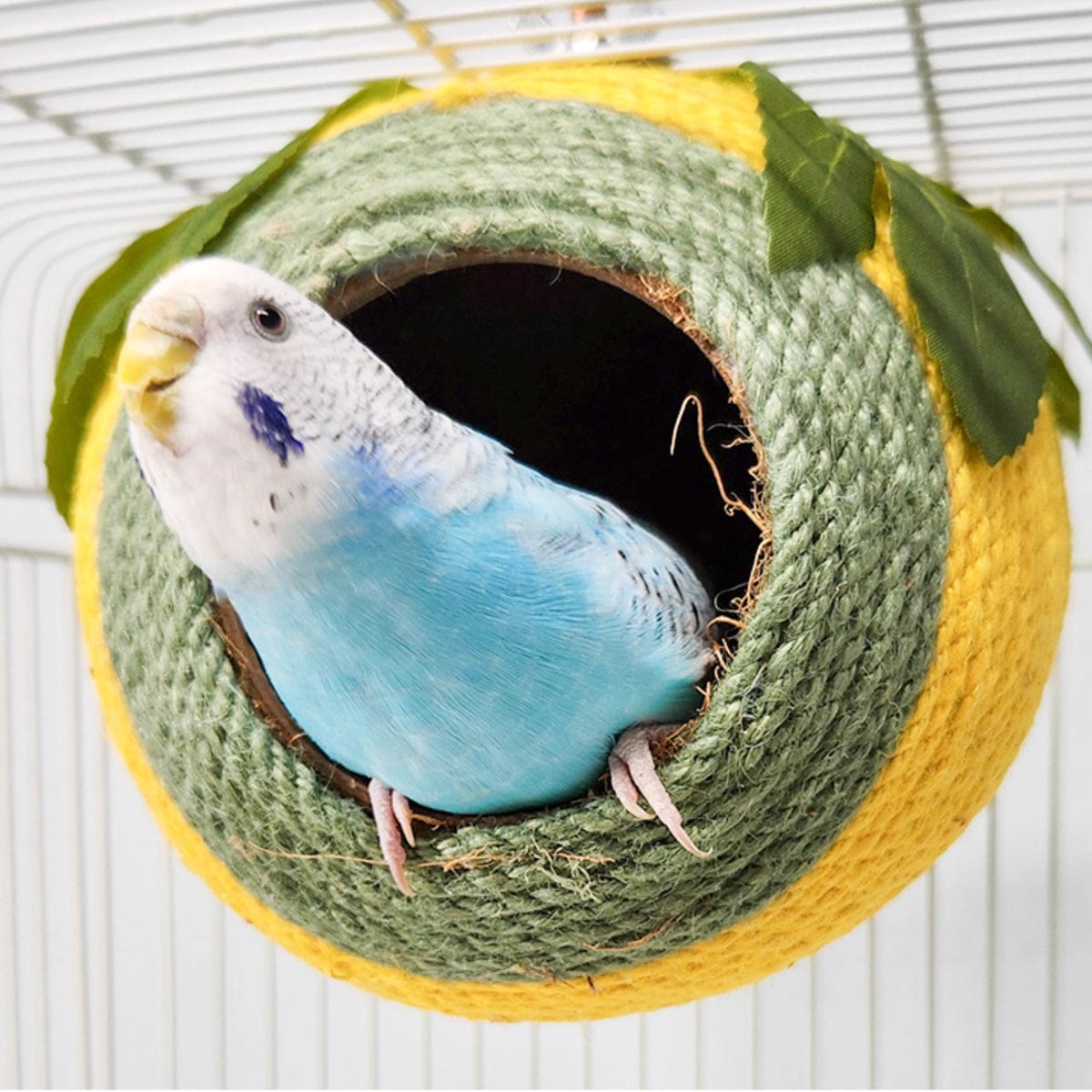 Spud Jax Petshop Bird Nest Parrot Nest Coconut Shell Braided Twine Colourful Cage Hanging Bed - White-Brown-Screw Model Bird Nest Parrot Nest Coconut Shell Braided Twine Colourful Cage Hanging Bed - White-Brown-Screw Model Pet Care > Bird > Bird Cage Accessories