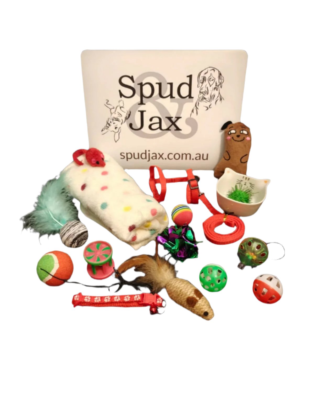 Spud Jax Petshop Cat Christmas Box Cat Christmas Box