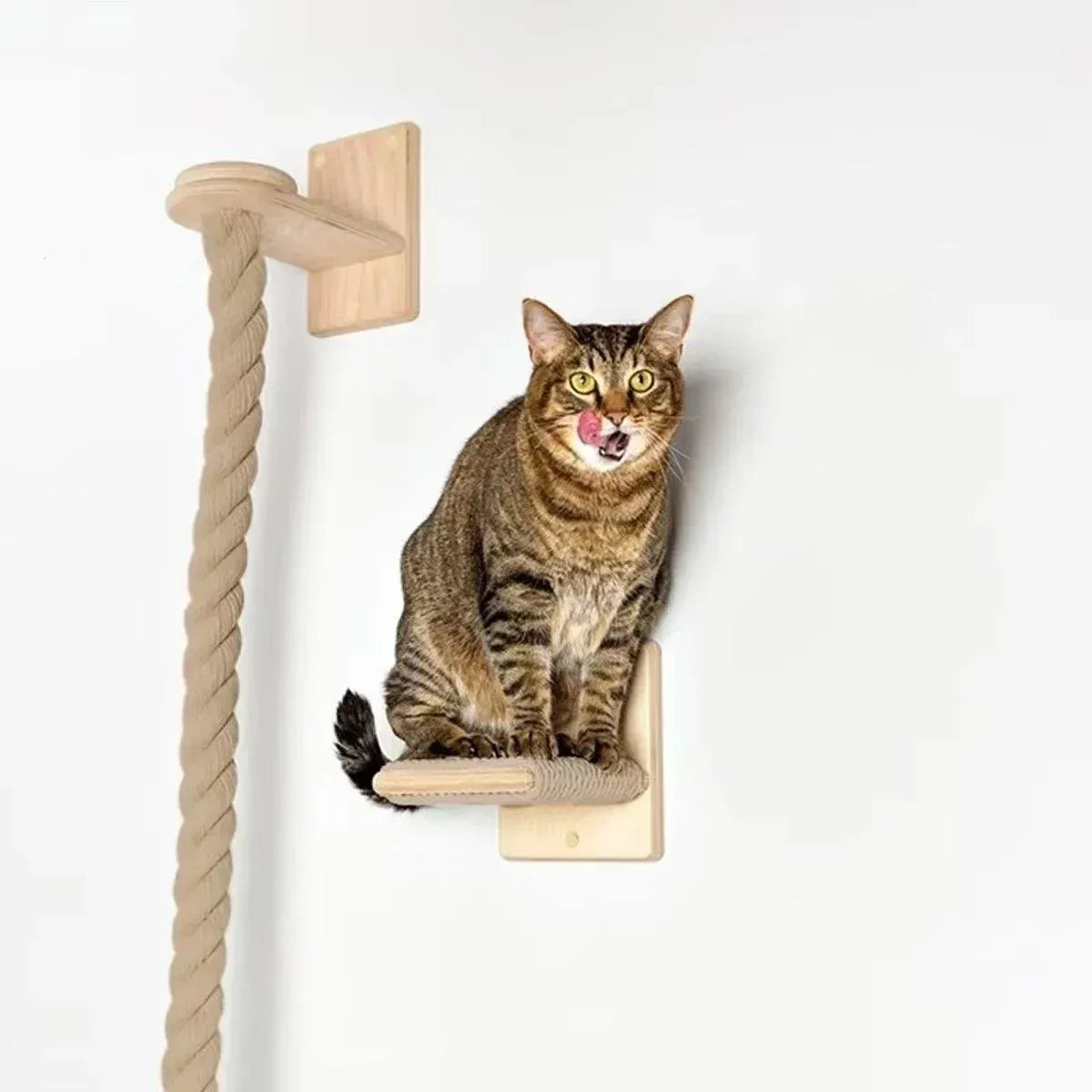 Spud Jax Petshop Cat Climbing Rope Cat Climbing Rope Pet Care > Cat Supplies > Cat Scratchers